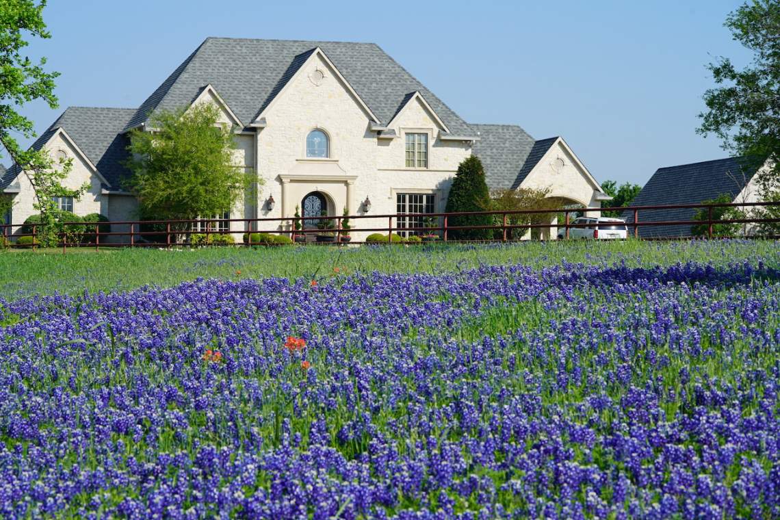 Countryside home with Texas Bluebonnet wildflowers blooming during spring time